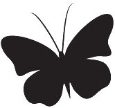 Butterfly Icon